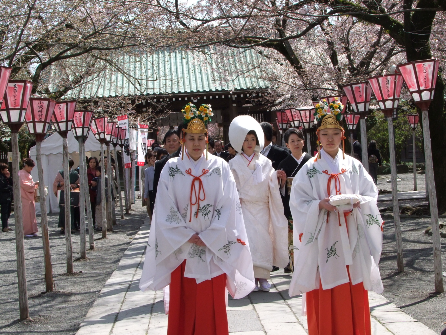 桜満開！三嶋大社見学ツアー