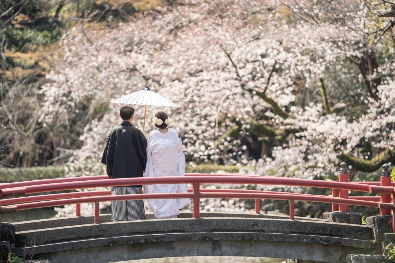 桜の季節